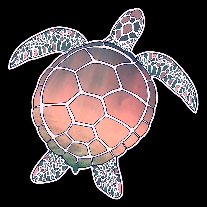 Tortue marine
