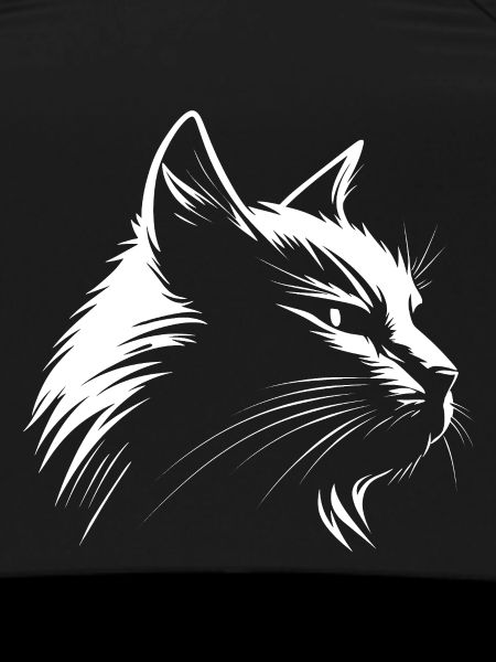Cat white :-)