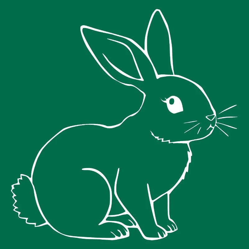 Rabbit Bunny Bunny Dwarf Rabbit Gift