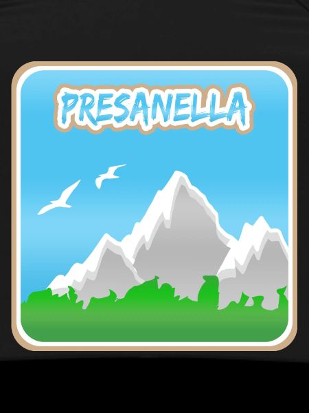 Bergsteigen Presanella