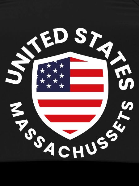 American shield with flag design