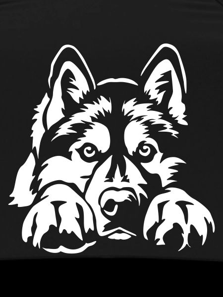 Siberian Husky « Édition Noire »