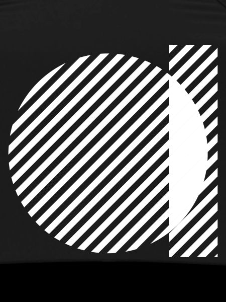Geometric Stripe Circles Monochrome Pattern