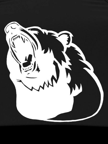 Das Erwachen des Eisbären