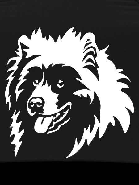 Samoyed Head "Black Edition"