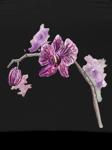 Orchidée - Plante - Fleur