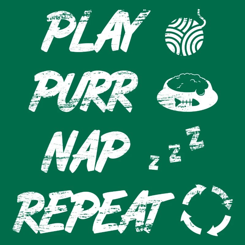 Routine quotidienne du chat