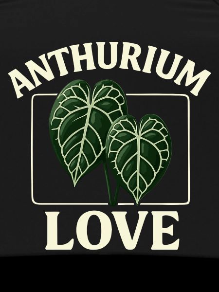 Anthurium Love