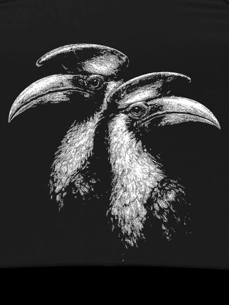 Hornbills