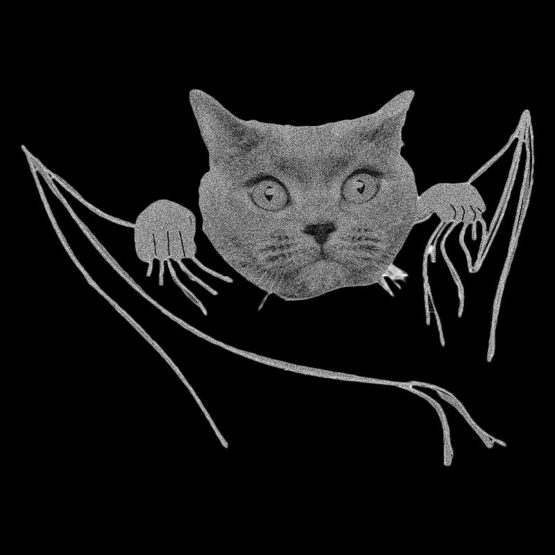 Katze in der Tasche Cat