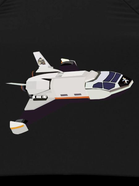 Space Shuttle Flug
