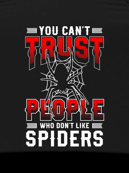 Spiders Nature Arachnids