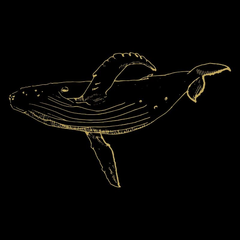 Illustrated designs with whale