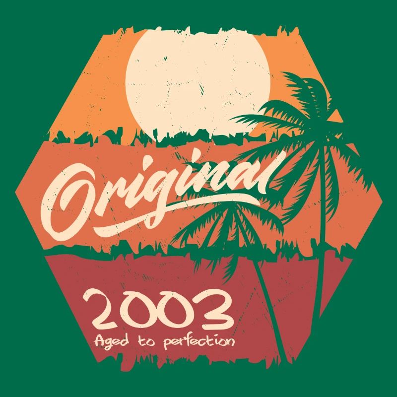 Original 2003 Retro 2003 Geburtstagsgeschenk