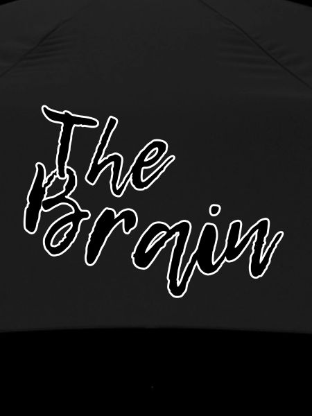 The brain
