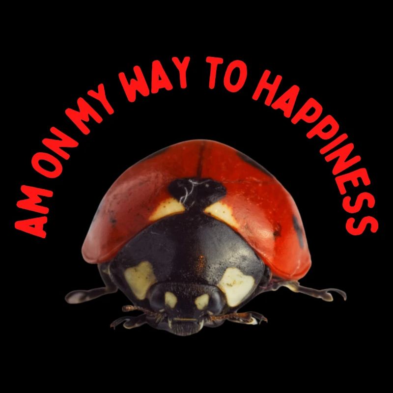 Coccinelles sur le chemin du bonheur