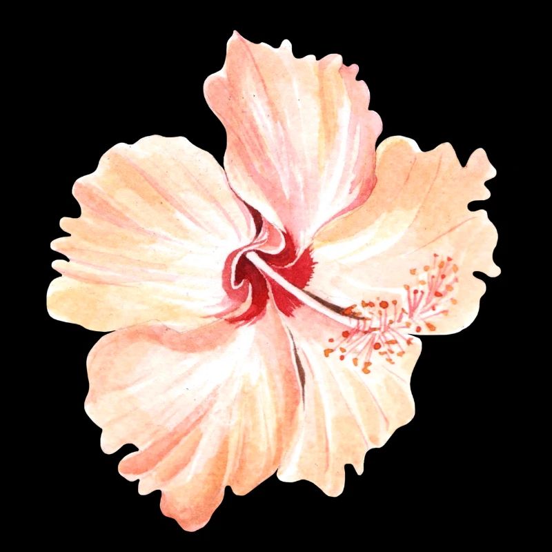 Blume