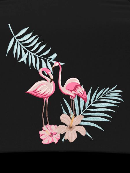 flamingos
