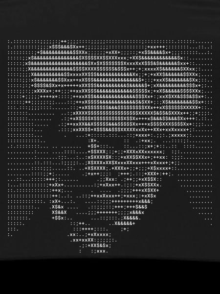 Arthur Schopenhauer ASCII Kunstporträt