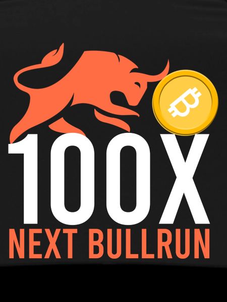 100x next Bullrun