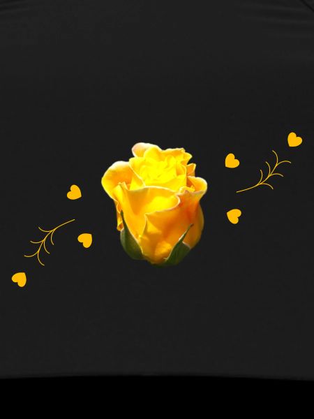 rose yellow rose