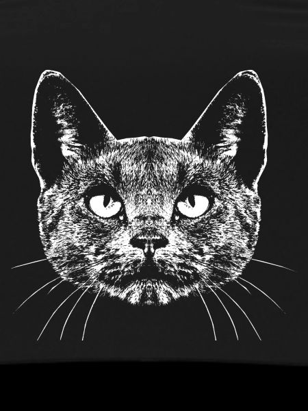 Cat / Portrait