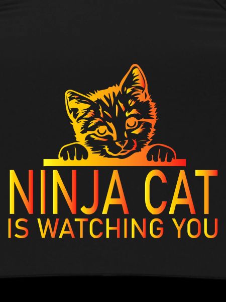 Cat Katze