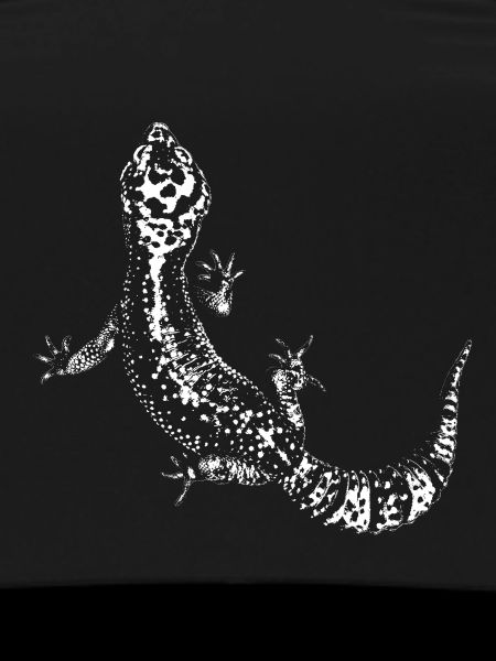 Gecko / Leopard gecko