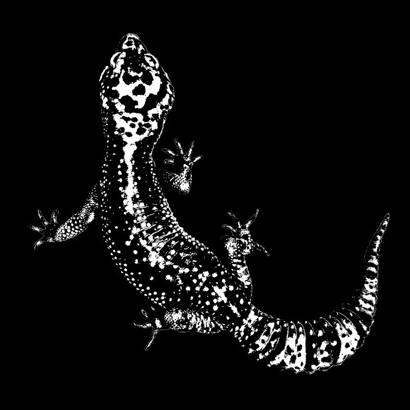 Gecko / Leopard gecko