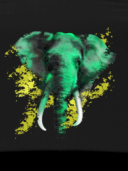 Elefant