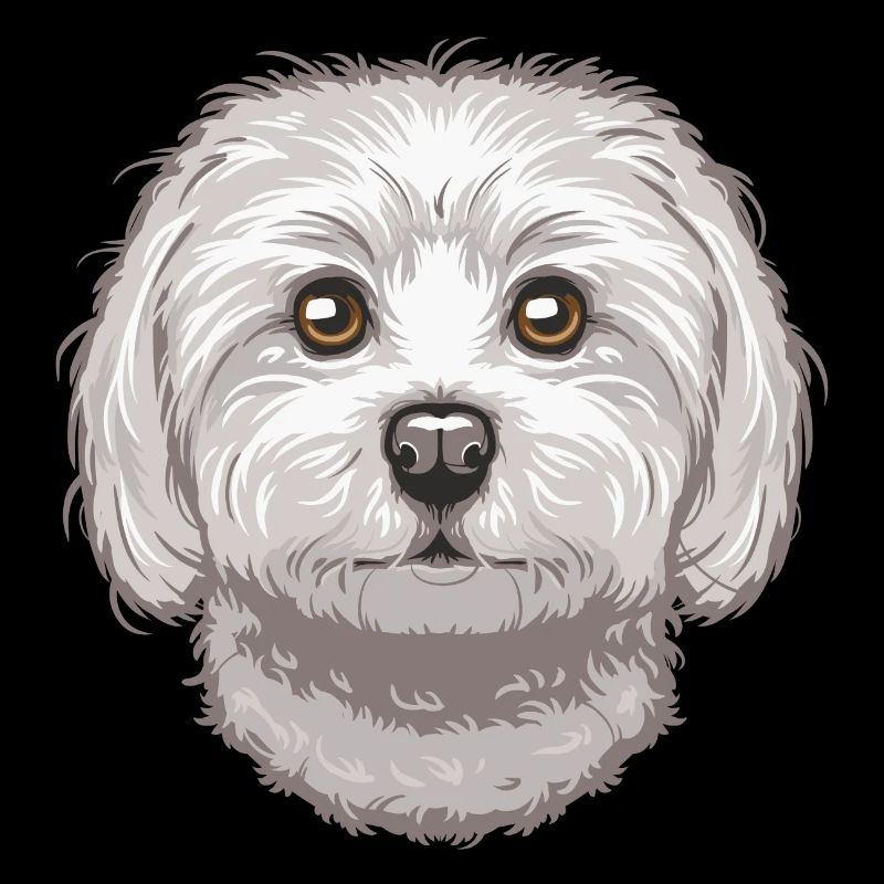 Maltese