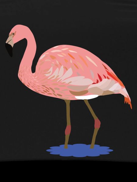 Flora Flamingo