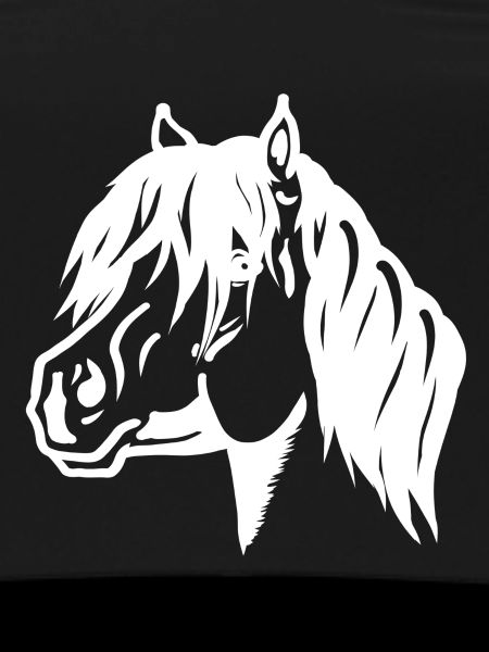 Pony Portrait white