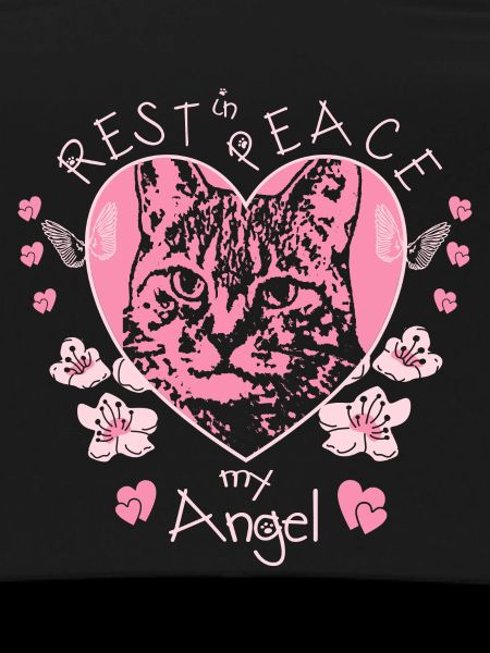 Ange chat