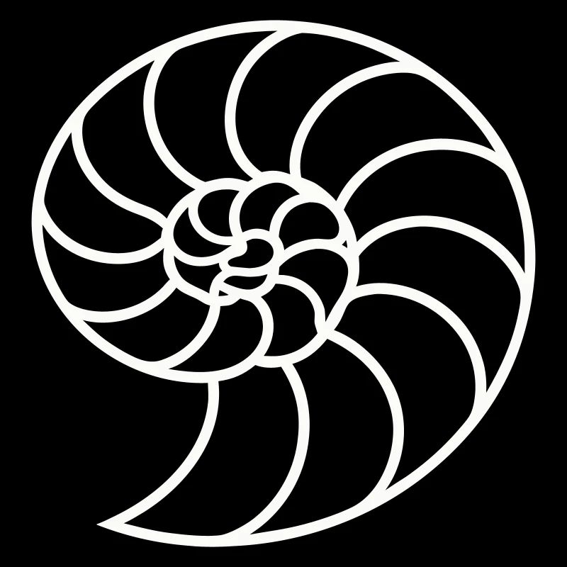 Weiße Nautilus-Spirale