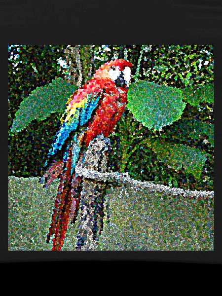 A very curious parrot