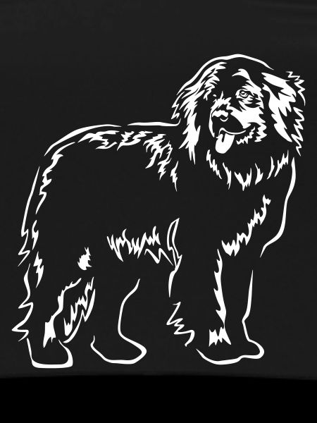 Newfoundland "Black Edition"