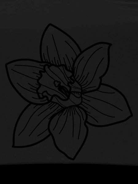 simple Wildblume