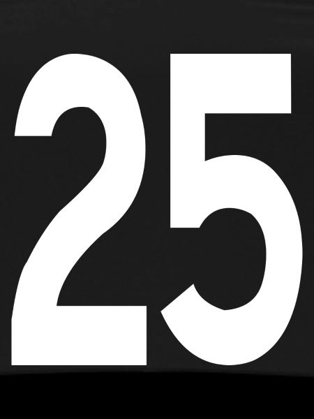 Friendly Beginnings 25