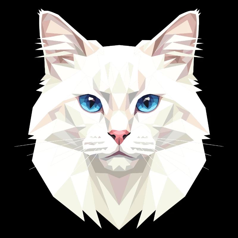 Chat Angora Chat Angora Chat Angora Mignons Chats Angora