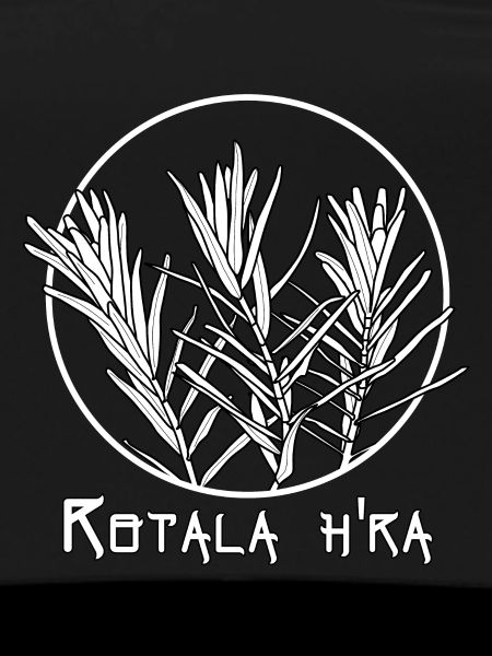 Rotala h'ra