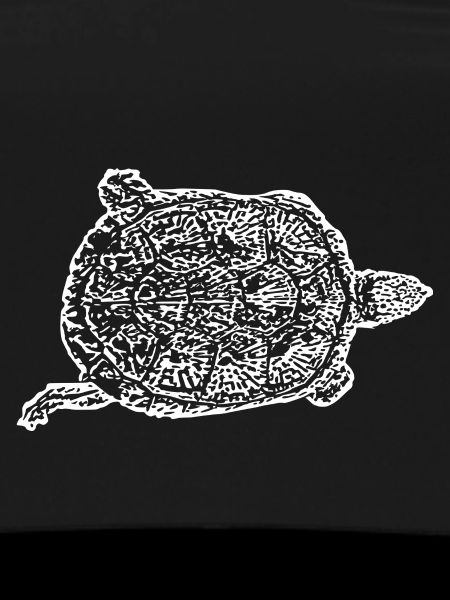 Turtle Turtles