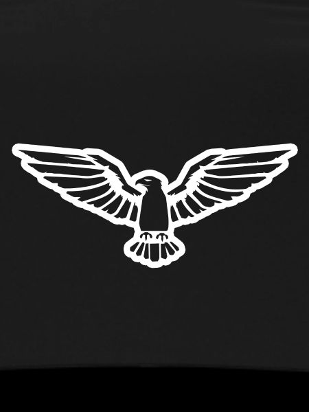 Eagle Eagle Head