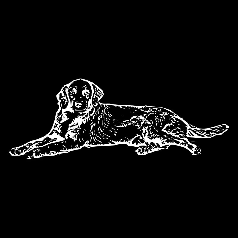 Chien blanc