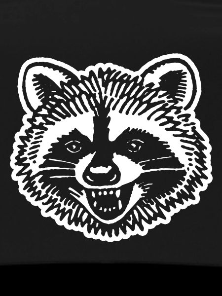 Raccoon