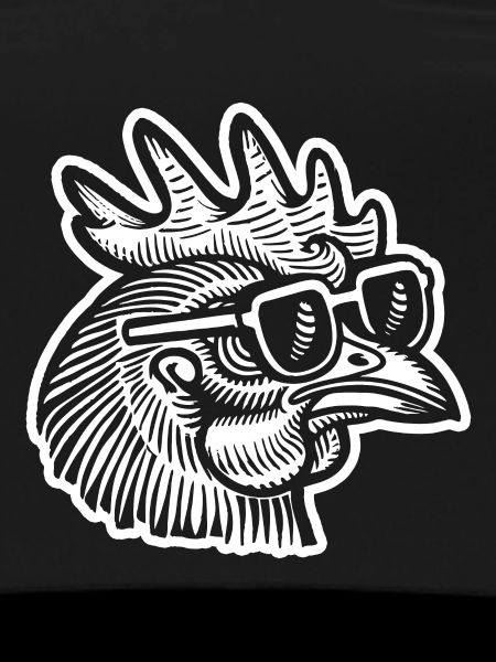 Chicken Chicken Coop