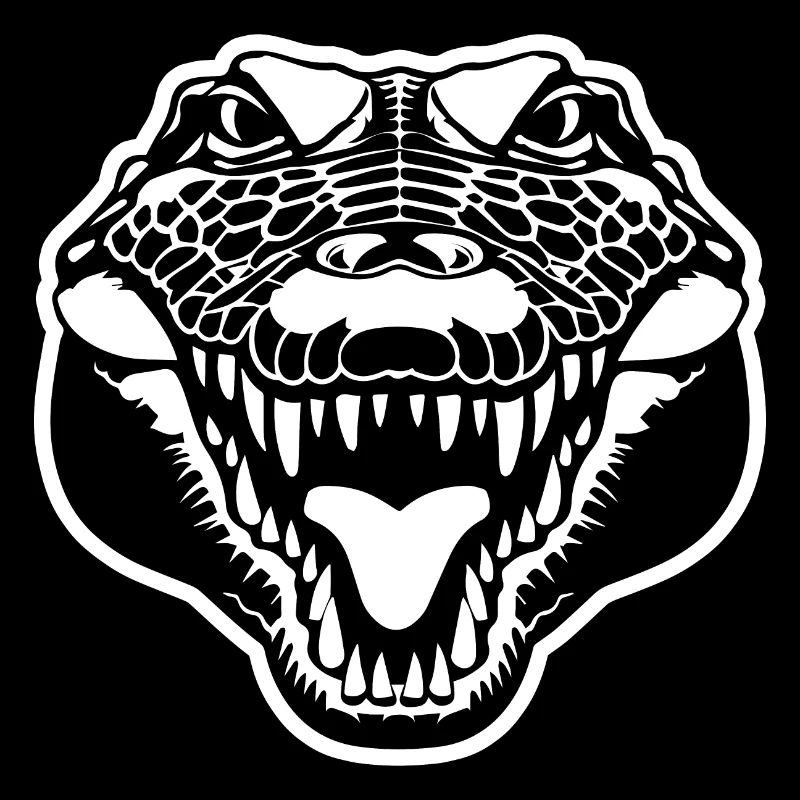 Crocodile Alligator