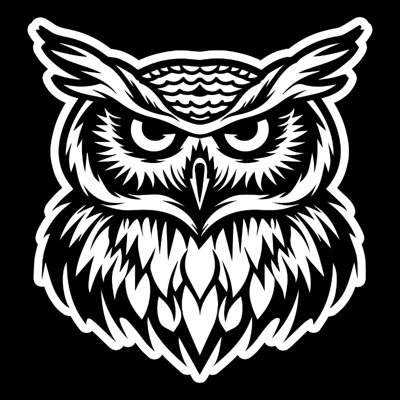 Owl Owls Bird