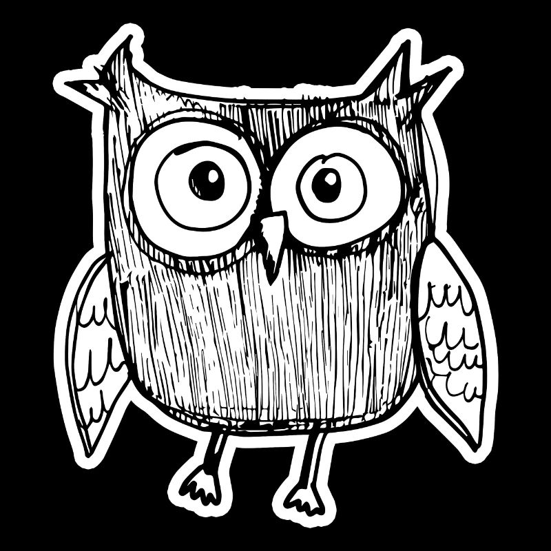 Owl Owls Bird