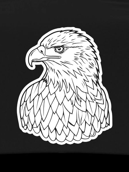 Aigle Tête d’aigle